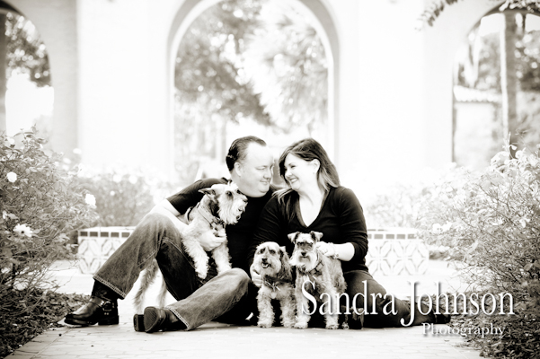 Best Orlando Pet Photographer - Sandra Johnson (SJFoto.com)